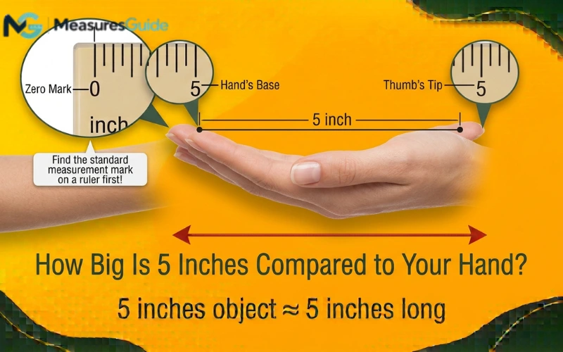 how long is 5 inches