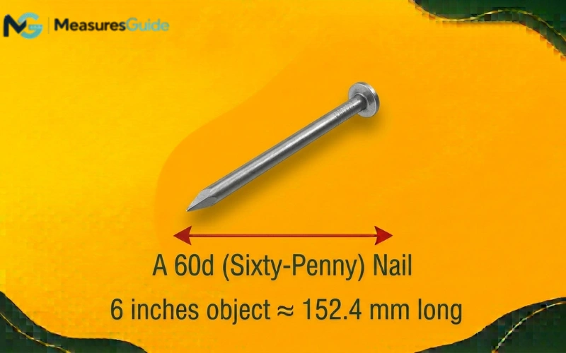 how long is 6 inches