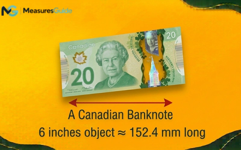 how long is 6 inches