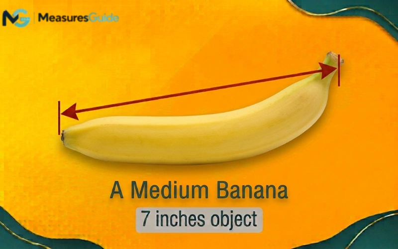 how long is 7 inches