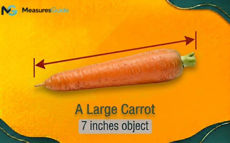 how long is 7 inches