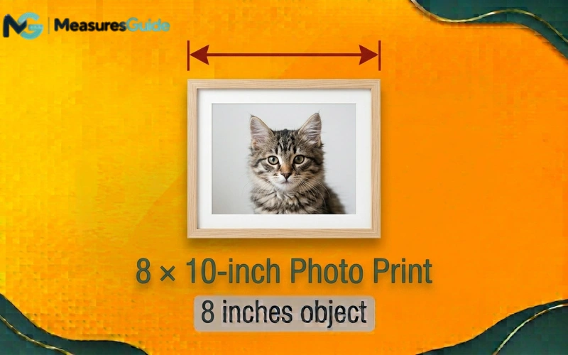 how long is 8 inches