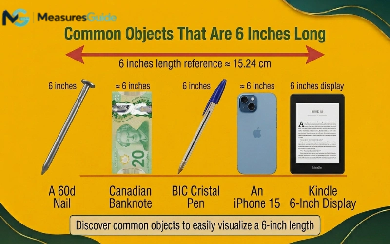 how long is 6 inches